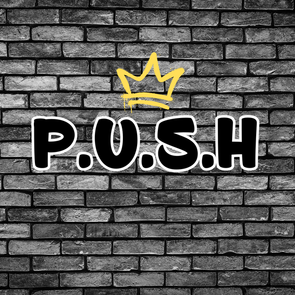 PUSH Collection 2022 logo